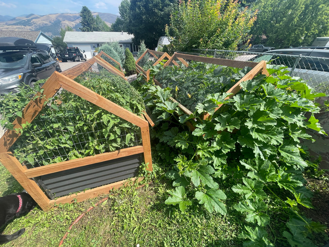 Biosolid vs. Poultry Compost: What’s Best for Your Missoula Garden?