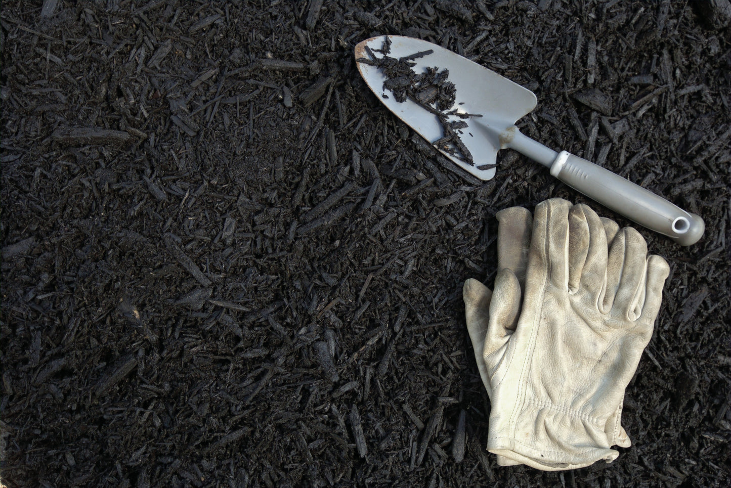 Black Mulch